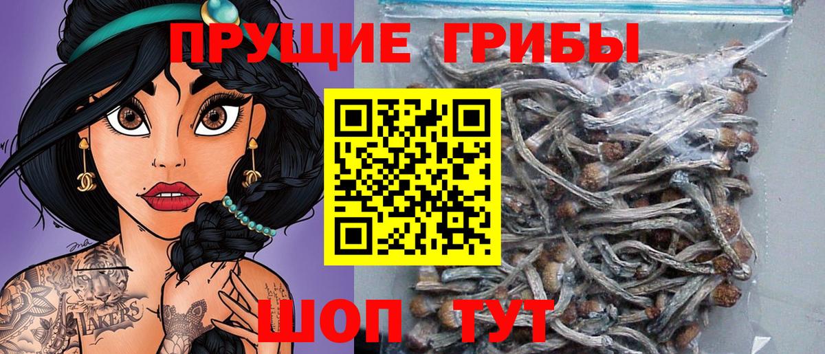 Беслан  Галлюциногенные грибы ЛСД  Вход с VPN 