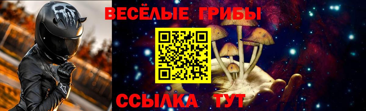 Галлюциногенные грибы Psilocybe Беслан