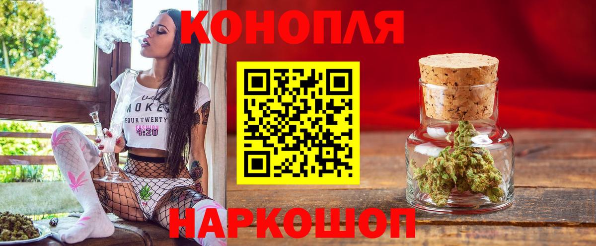 Бошки марихуана семена  Вход с VPN  Марихуана тримм  Беслан 